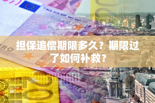 北京担保追偿期限多久？期限过了如何补救？