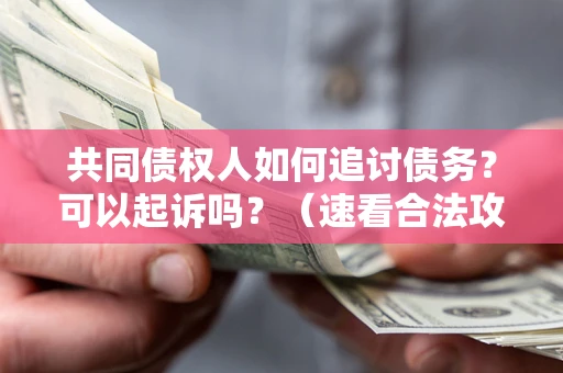 北京共同债权人如何追讨债务？可以起诉吗？（速看合法攻略）